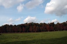 B-Herbststimmung 096.jpg